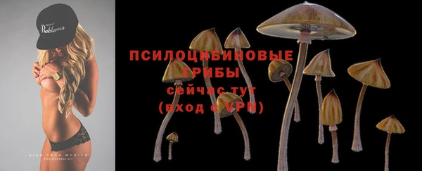 меф Няндома